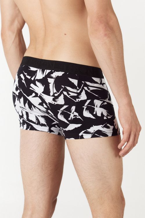 Boxer Vojas